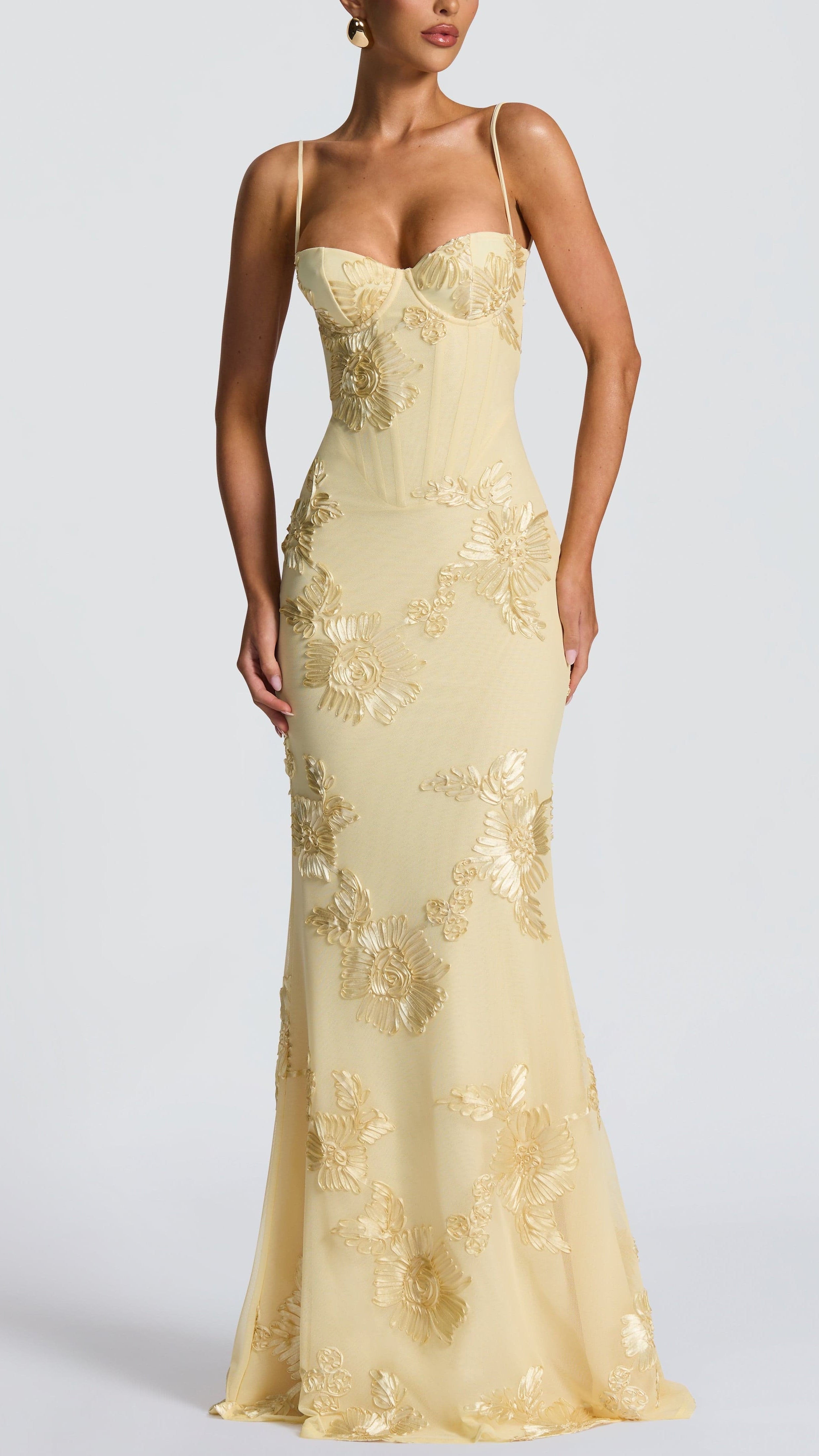 Hebe Floral-Embroidered Corset Maxi Dress